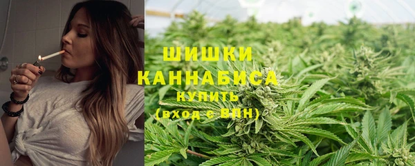 эйфоретик Осташков