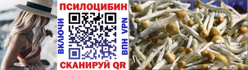 наркота  Мурино  Галлюциногенные грибы ЛСД 