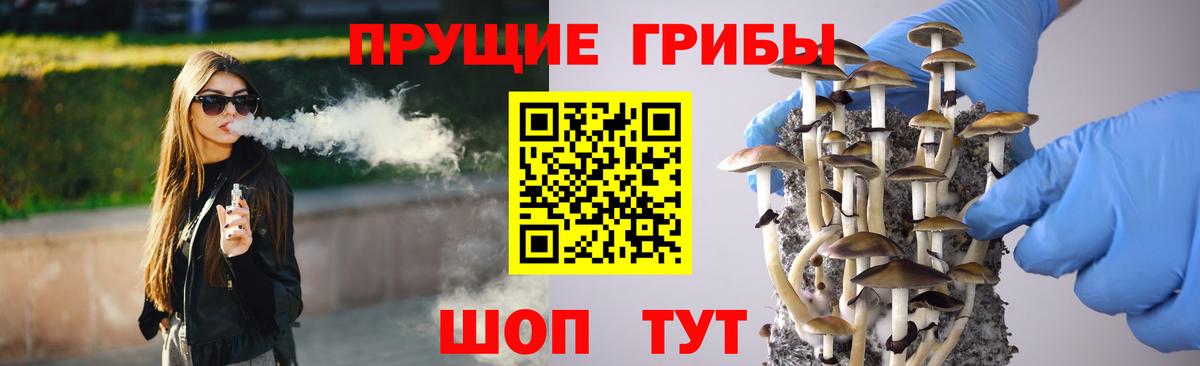 Мурино  закладка  Вход с VPN  Псилоцибиновые грибы Psilocybine cubensis 
